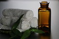 Spa bottle green cloth Royalty Free Stock Photo