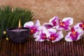 Spa candle and orchid flowers Royalty Free Stock Photo