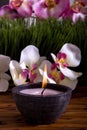 Spa candle and orchid flowers Royalty Free Stock Photo