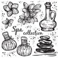 Spa collection. Hand-drawn beautiful elements in linear style. Isolated vector illustration. Natural cosmetics, aroma, oil.