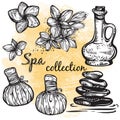 Spa collection. Hand-drawn beautiful elements in linear style. Isolated vector illustration. Natural cosmetics, aroma, oil.