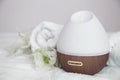 Spa composition with aroma diffuser and towel on a blurred background. Royalty Free Stock Photo