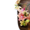 Spa composition with beautiful orchid Royalty Free Stock Photo