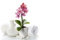 Spa composition with beautiful pink orchid Royalty Free Stock Photo