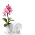 Spa composition with beautiful pink orchid Royalty Free Stock Photo