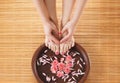 A spa composition of feet and hands in a bowl Royalty Free Stock Photo