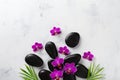 Spa composition with flowers, green leaves and massage stone on white background top view. Beauty treatment and relaxation concept Royalty Free Stock Photo