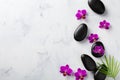 Spa composition with flowers, green leaves and massage stone on white background top view. Beauty treatment and relaxation concept Royalty Free Stock Photo