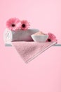 Spa composition with pink salt Royalty Free Stock Photo