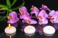 spa composition of orchid phalaenopsis, candles, green leaves and black zen stones with drops on water with reflection Royalty Free Stock Photo