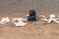 Spa composition - stacked Basalt Stones, Seashells and Sea Stars on the beach at sunrise in front of the ocean. Royalty Free Stock Photo