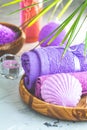 Spa composition with violet color, space for text Royalty Free Stock Photo