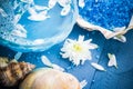 Spa composition water bath salt shells flowers