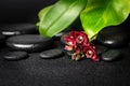 Spa composition of zen stones, red mini orchid Royalty Free Stock Photo