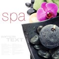 Spa concept