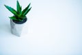 Spa concept. Aloe vera plant on table in bathroom