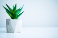 Spa concept. Aloe vera plant on table in bathroom