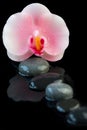 Spa concept of beautiful orchid candle and zen stones with reflection on water Royalty Free Stock Photo