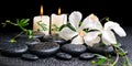 spa concept of blooming white hibiscus, twig with tendril passionflower and candles on zen basalt stones, with drops, panorama