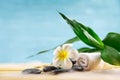 Spa concept with candle, stone, flower and bamboo