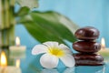 Spa concept with candle, stone, flower and bamboo