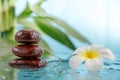 Spa concept with candle, stone, flower and bamboo