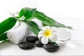 Spa concept with candle, stone, flower and bamboo