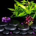 Spa concept of flower orchid, phalaenopsis, zen basalt stones wi Royalty Free Stock Photo