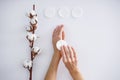 Hands of a young woman with a cotton branch, cotton pads on a white background. Female manicure. Cotton flower. Spa concept