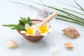 Spa concept with Mortar and Pestle, Flowers, leaf and stone Royalty Free Stock Photo