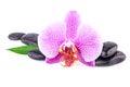 Spa Concept Orchid Flower with Zen Stones Royalty Free Stock Photo