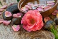 Spa concept. pink flower with zen pebbles Royalty Free Stock Photo