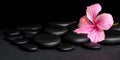 spa concept of pink hibiscus flower on zen basalt stone with drops, panorama
