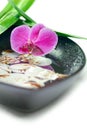 Spa concept: purple orchid, bamboo and shells