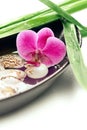 Spa concept: purple orchid, bamboo and shells