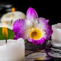 spa concept of purple orchid dendrobium, leaf with dew and candles on zen stones in ripple reflection water, closeup Royalty Free Stock Photo