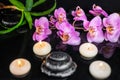 Spa concept of purple orchid phalaenopsis, candles, green leaves and black zen stones with drops on water with reflection Royalty Free Stock Photo