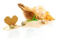 Spa concept with seashells and bamboo with heart shape from card Royalty Free Stock Photo