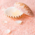 Spa concept with seashells and pearl on delicate pink texture Royalty Free Stock Photo