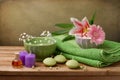 Spa concept still life Royalty Free Stock Photo