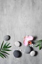 Spa concept on stone background, palm leaves, flower, zen, grey stones, top view, copy space Royalty Free Stock Photo