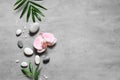 Spa concept on stone background, palm leaves, flower, zen, grey stones, top view, copy space Royalty Free Stock Photo