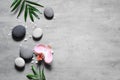 Spa concept on stone background, palm leaves, flower, zen, grey stones, top view, copy space. Royalty Free Stock Photo