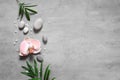 Spa concept on stone background, palm leaves, flower, zen, grey stones, top view, copy space Royalty Free Stock Photo