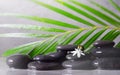 Spa concept with wet black stones, palm leaf and white flower Royalty Free Stock Photo