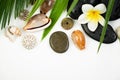 Spa concept on white background, palm leaves, tropical flower, shells and zen like stones, top view, copy space Royalty Free Stock Photo