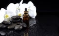 Spa concept of white orchid with black zen stones and oil bottle on wet background Royalty Free Stock Photo