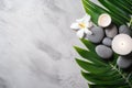 Spa Concept on White Stone Background with Palm Leaves, Flower Candle, and Zen-like Grey Stones - Top View AI Generated Royalty Free Stock Photo