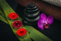 Spa concept. Zen basalt stones and orchid on the basalt Royalty Free Stock Photo