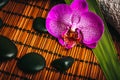 Spa concept. Zen basalt stones and orchid on the wood Royalty Free Stock Photo